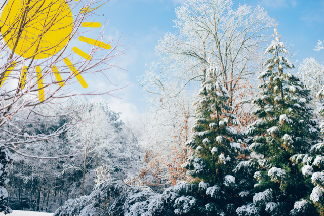 Läs mer om artikeln God Jul och ett Gott Nytt Sol-år önskar vi er alla!